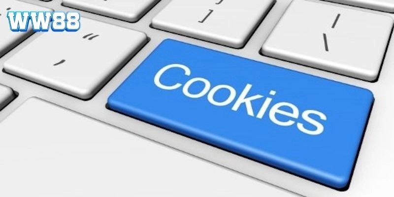 Lợi ích hấp dẫn mà chính sách cookie mang lại