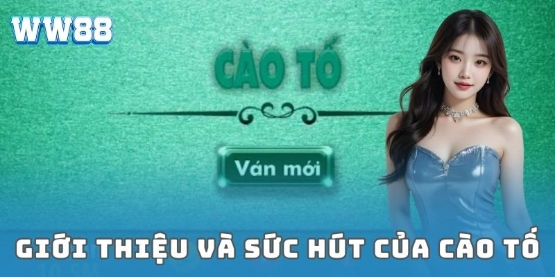Giới thiệu và sức hút của cào tố